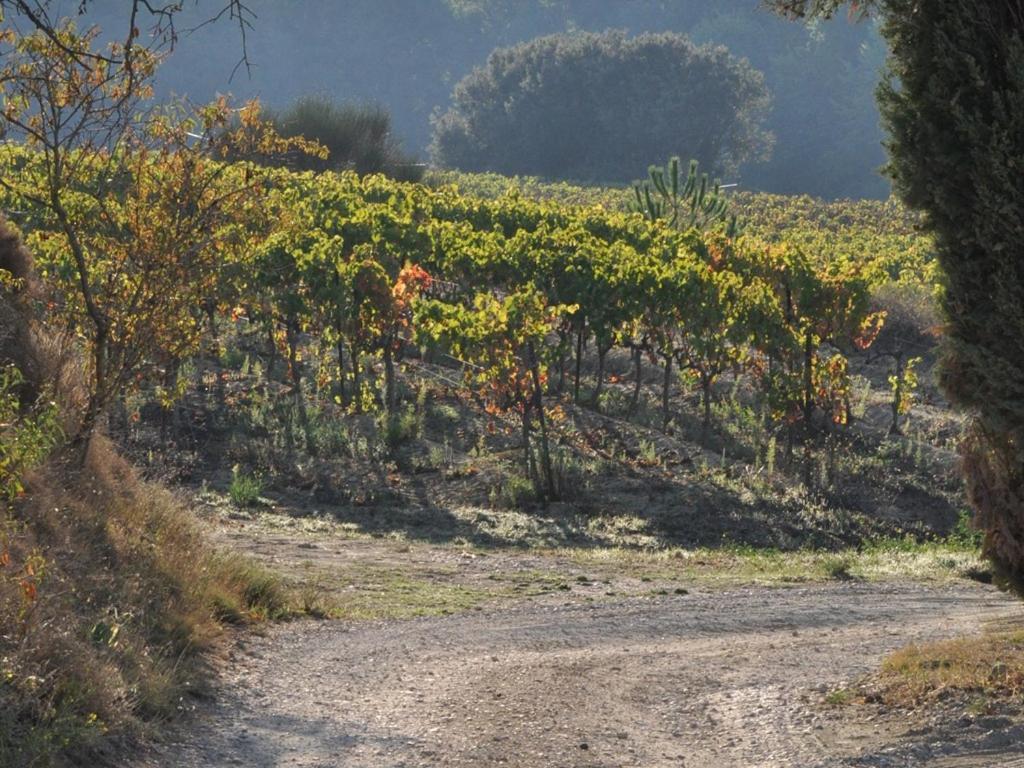 Готель Domaine Saint Victor La Tour-d'Aigues Екстер'єр фото